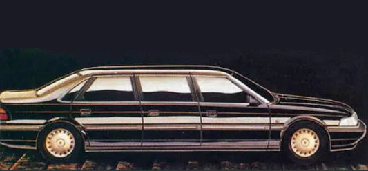 Rover 800 6-türige Langversion